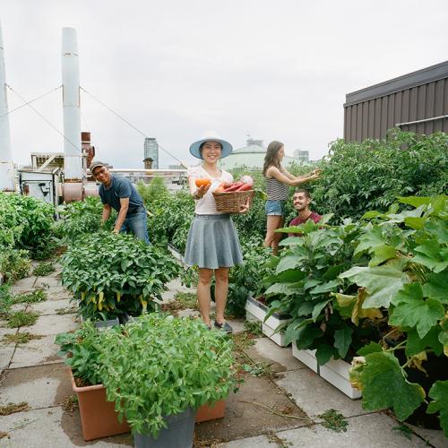 A diverse group of smiling students fill a basket with vegetables in a rooftop garden at U of T.