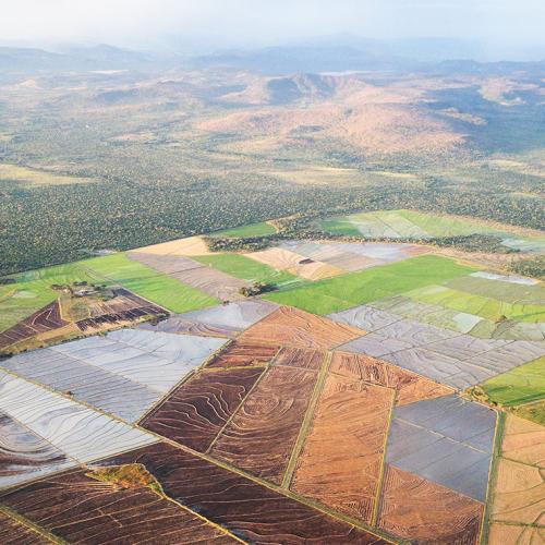 Walls snake across rice paddies, in a shot taken from an airplane.