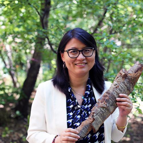 Ning Yan stands in a forest, smiling and holding a large piece of tree bark.