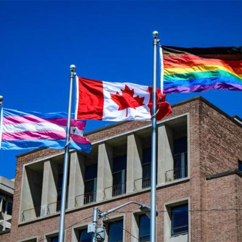The striped trans flag, the Canadian flag and the rainbow Pride flag with black and brown stripes added, fly side by side.