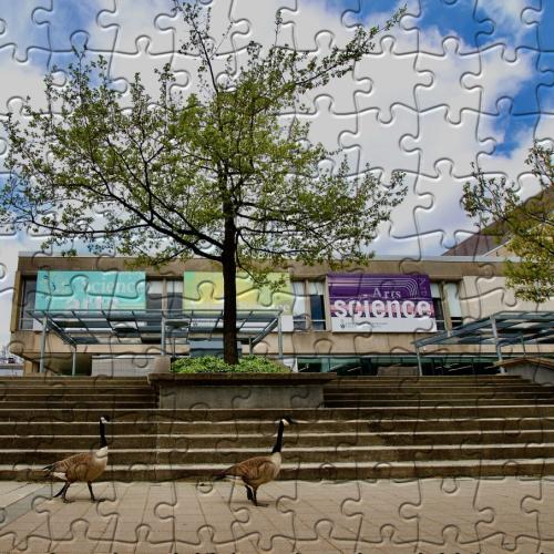 A completed jigsaw puzzle showing a view of the stairs and front of the Sidney Smith building.