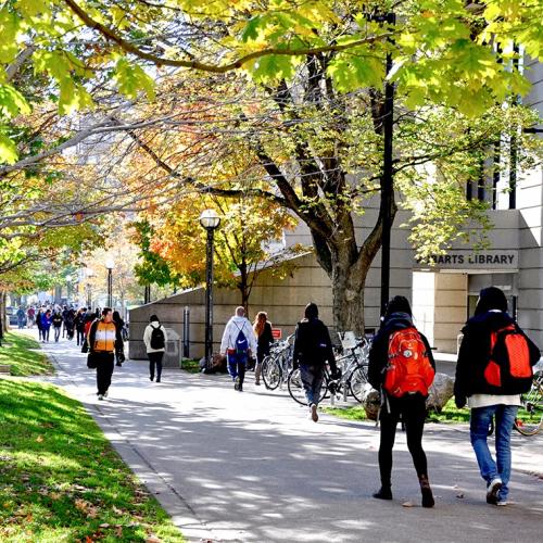 Students walk under trees at Robarts Library on a sunny autumn day.