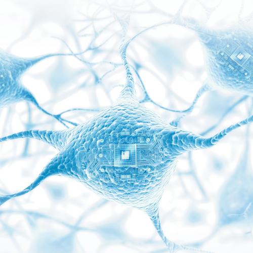 An imaginative illustration shows connected neuron cells with circuit boards inside them.