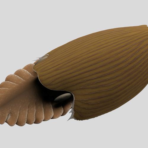 An artist's illustration of the Titanokorys shows a soft-bodied creature shaped like a seaweed pod with a multi-flapped tail.
