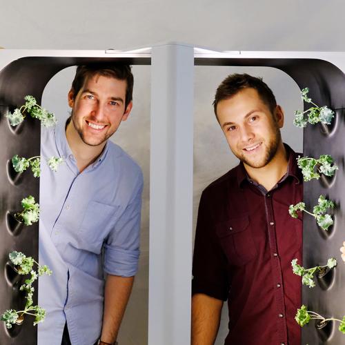 Conner Tidd and Kevin Jakiela peek through a frame with tiny kale plants growing on its sides.