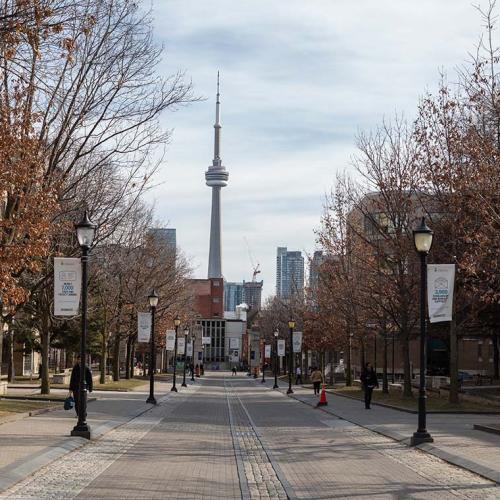 A view down a nearly-deserted St. George Street at U of T with the CN Tower visible on the skyline.