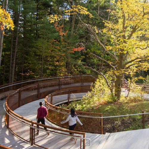 Sun slants through trees over a boardwalk trail that loops downwards into a valley.