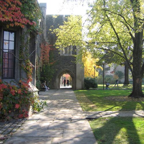 Sun shines through trees in the quad, at Burwash Hall residences.