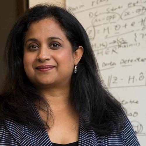 Deepa Kundur, a professor in the department of electrical and computer engineering, will receive more than $340,000 for her research into the security of power grids (photo by Romi Levine)