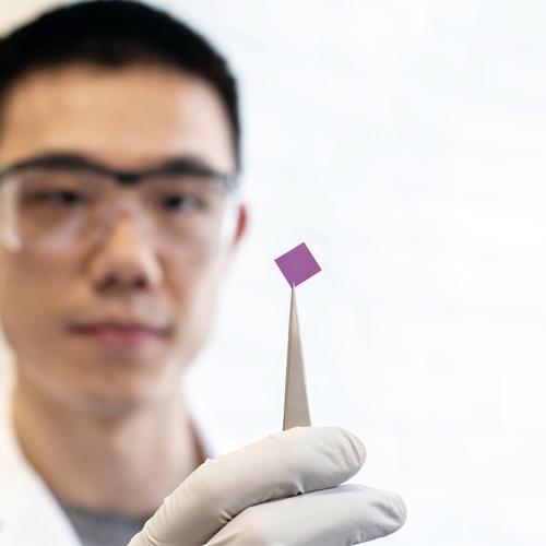 Teng Cui uses tweezers to hold up a half-centimetre-square silicon chip.