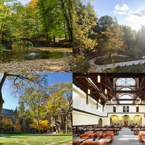 A grid of images showing a pong in Mississauga, a boardwalk in Scarborough, a garden quad and a library room with skylight.