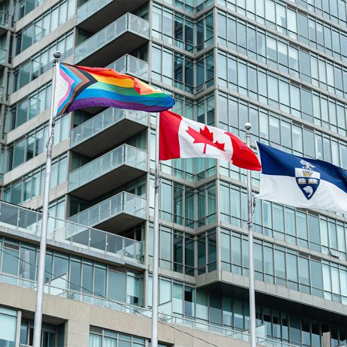 The progress pride flag includes a rainbow, trans colours, and black and brown stripes for marginalized communities.