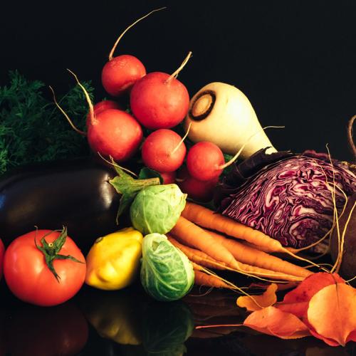 An array of vegetables: tomatoes, eggplant, carrots, summer squash, brussels sprouts, radishes, cabbage, beetroot, parsnip.