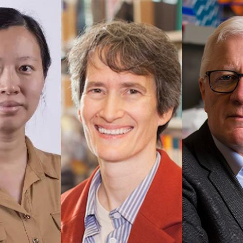 Composite image: portraits of Yimu Zhao, Kimberly Strong and John Dick.