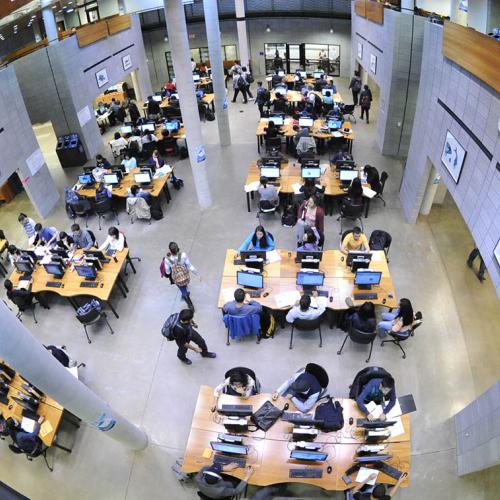 Students conduct research and complete their assignments at the University of Toronto Scarborough Library. Photo by Ken Jones.