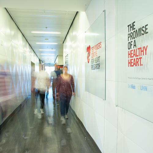 Called Entrepreneurship for Cardiovascular Health Opportunities, or ECHO, the program introduces cardiovascular researchers to the world of startups and provide them with basic training, networking and funding opportunities (photo by U of T Advancement) 