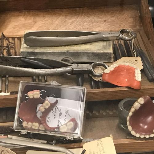 The University of Toronto's Faculty of Dentistry Museum collection, for which Dr. Anne Dale (BA 1953 UC, DDS 1958) has been honoured (photo by Erin Vollick) 