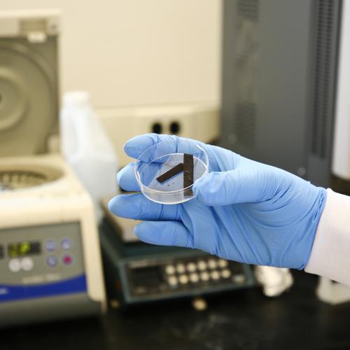 Researchers in U of T's Faculty of Applied Science & Engineering have discovered a new catalyst that lowers the amount of electricity required to split water into hydrogen and oxygen under pH-neutral conditions (photo by Tyler Irving) 