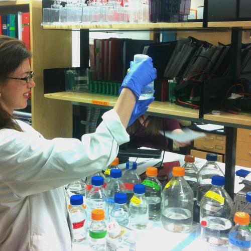 Groundbreaking research by associate professor Ana Andreazza, a professor in the department of pharmacology and toxicology in the Faculty of Medicine, could link mood disorders with cell dysfunction...and point to new treatments.
