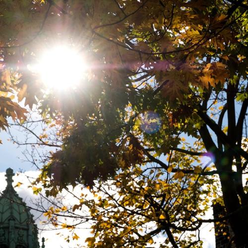 U of T is among the top 20 public universities in the world for the physical sciences, according to Times Higher Education's university subject rankings (photo by Laura Pedersen) 