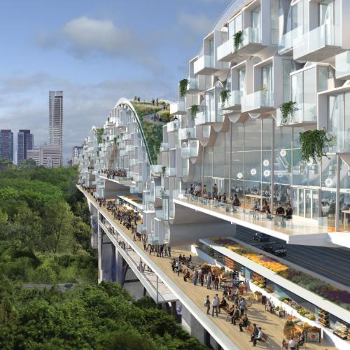 Living Bridges project, by Tye Farrow. Image courtesy Farrow Partners.