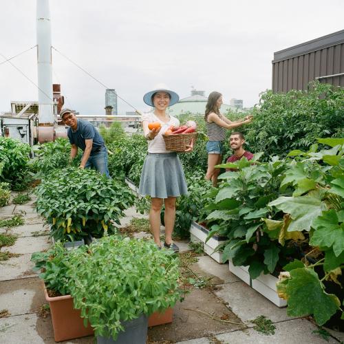 Students standing in Sky Garden at U of T smile as they garden