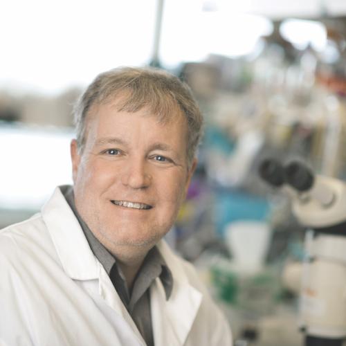 Jeffrey Wrana is a professor in the department of molecular genetics at U of T and a senior investigator at Sinai Health System’s Lunenfeld-Tanenbaum Research Institute (photo by Annie Tong/Sinai Health System) 