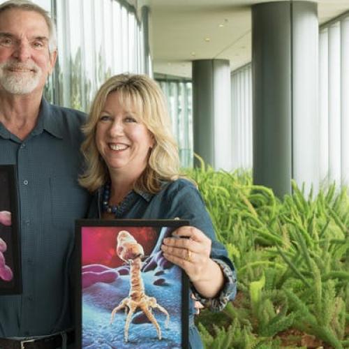 Tom Patterson and U of T alumna Steffanie Strathdee: "How could a bacterium we considered wimpy be something that is taking my husband down, and we have no antibiotic left to kill it?” 