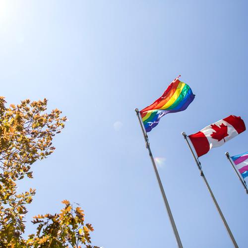 The Pride, Canadian and Trans flags fly in a row against a clear sunny sky.