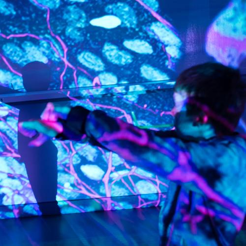 Mason Godkewitsch, 8, makes shadow puppets on the walls of the “cell cave” in the student lounge in the McLennan building on the downtown Toronto campus (photo by Geoffrey Vendeville) 