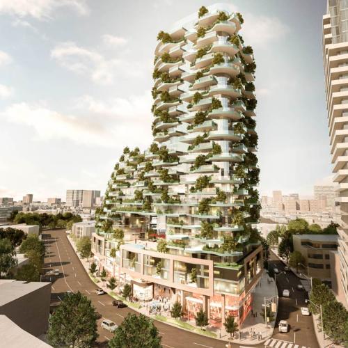A proposed condo building in Toronto includes 400 to 500 trees in its design (rendering by Brisbin Brook Beynon Architects) 