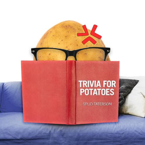 Potato, wearing glass and reading books while sitting on a couch.