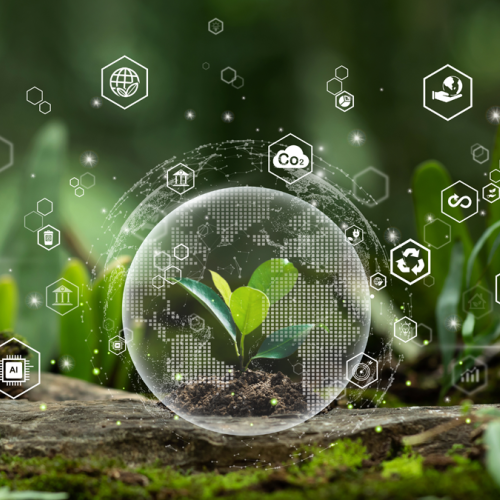 A small green plant growing from soil on a forest floor, surrounded by digital eco-themed icons and a transparent globe overlay, symbolizing climate action and environmental sustainability