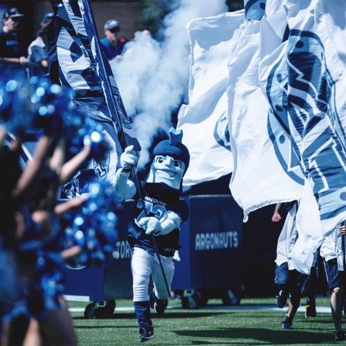 Argos game