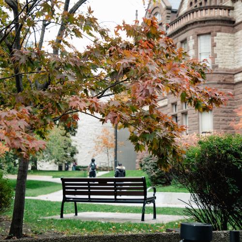 Image of park bench framed by trees, with Victoria College in the background.