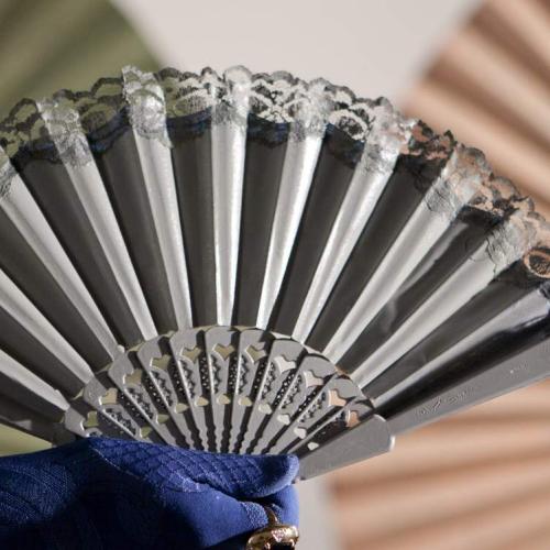 Photo of Hand Fan