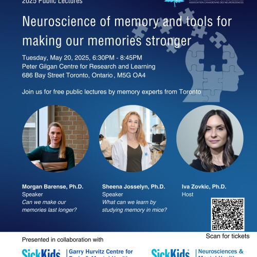 Public lecture on memory