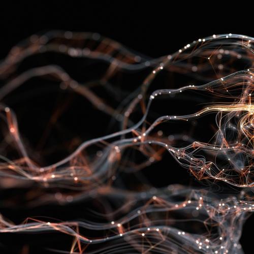 Image of a futuristic skull in profile outlined in fibre optic cables