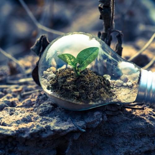 carbon credit