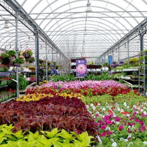 York Region, ON: Edible Gardening Workshop