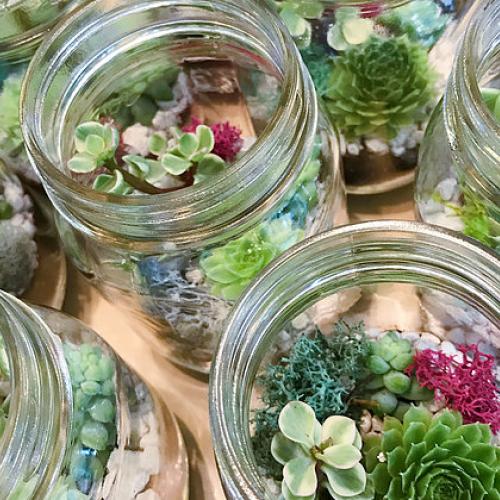 York Region, ON: Plantit Succulent Workshop