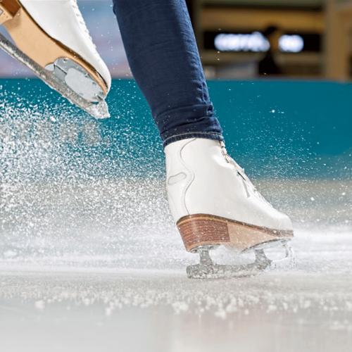 Taipei, TW: Alumni & Friends Ice-skating and Lunch Gathering