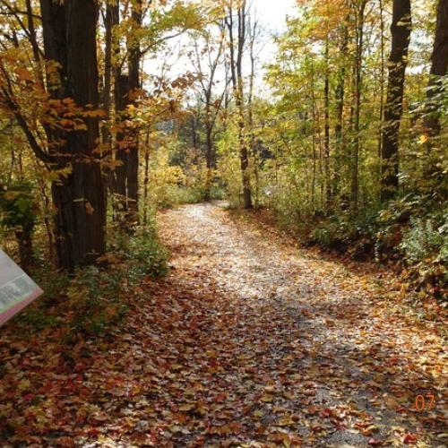 Bob Hunter Memorial Park