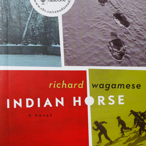 Indian Horse Book Cover