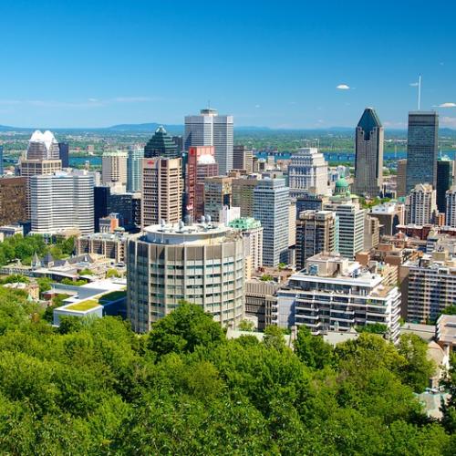 Montreal, QC: Mount Royal Hike & Picnic