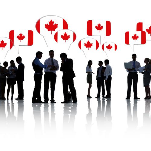 Picture of Canadians networking