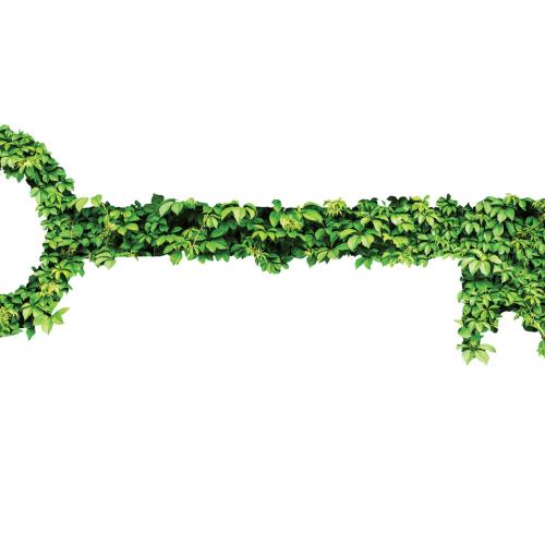 Key made of ivy