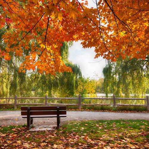 Toogood Pond Park