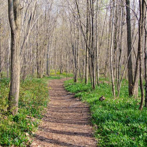 Simcoe County, ON: BBQ and Talk on Nature Conservation
