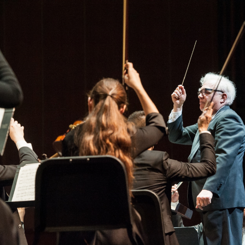 Orchestra
